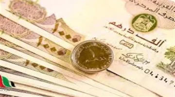 تحديث سعر الدرهم الإماراتي مقابل الجنيه المصري الخميس 8 يناير 2026